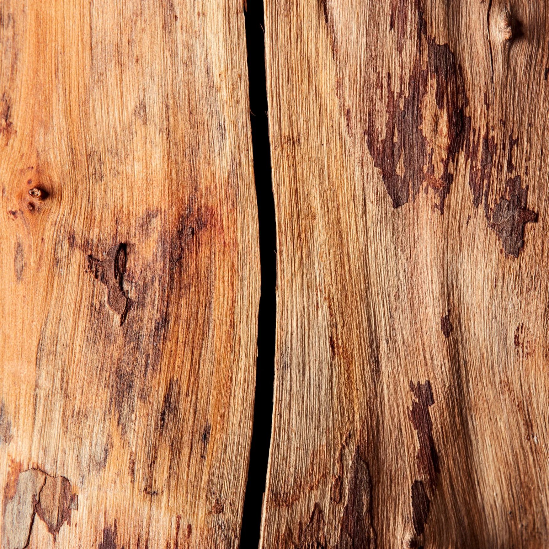 Sandalwood (Indonesia)