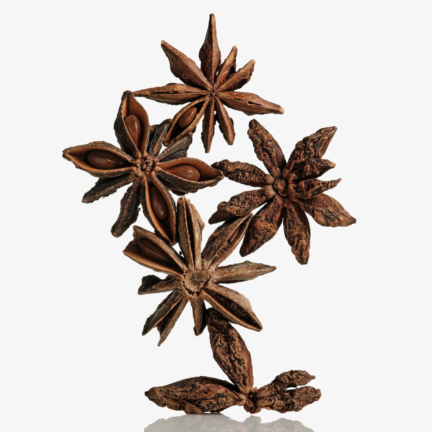 Star Anise