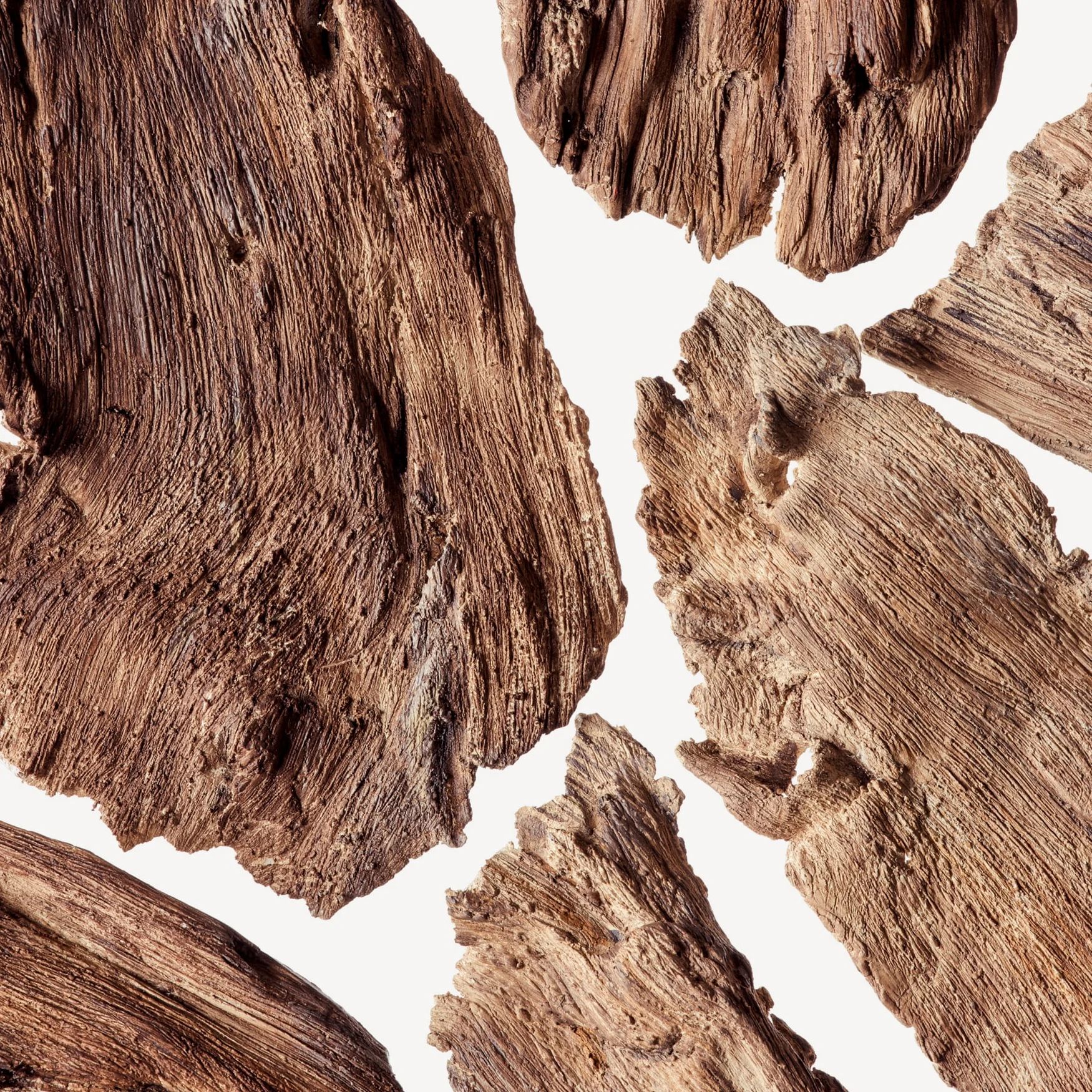 Timberwood (Woody Note)