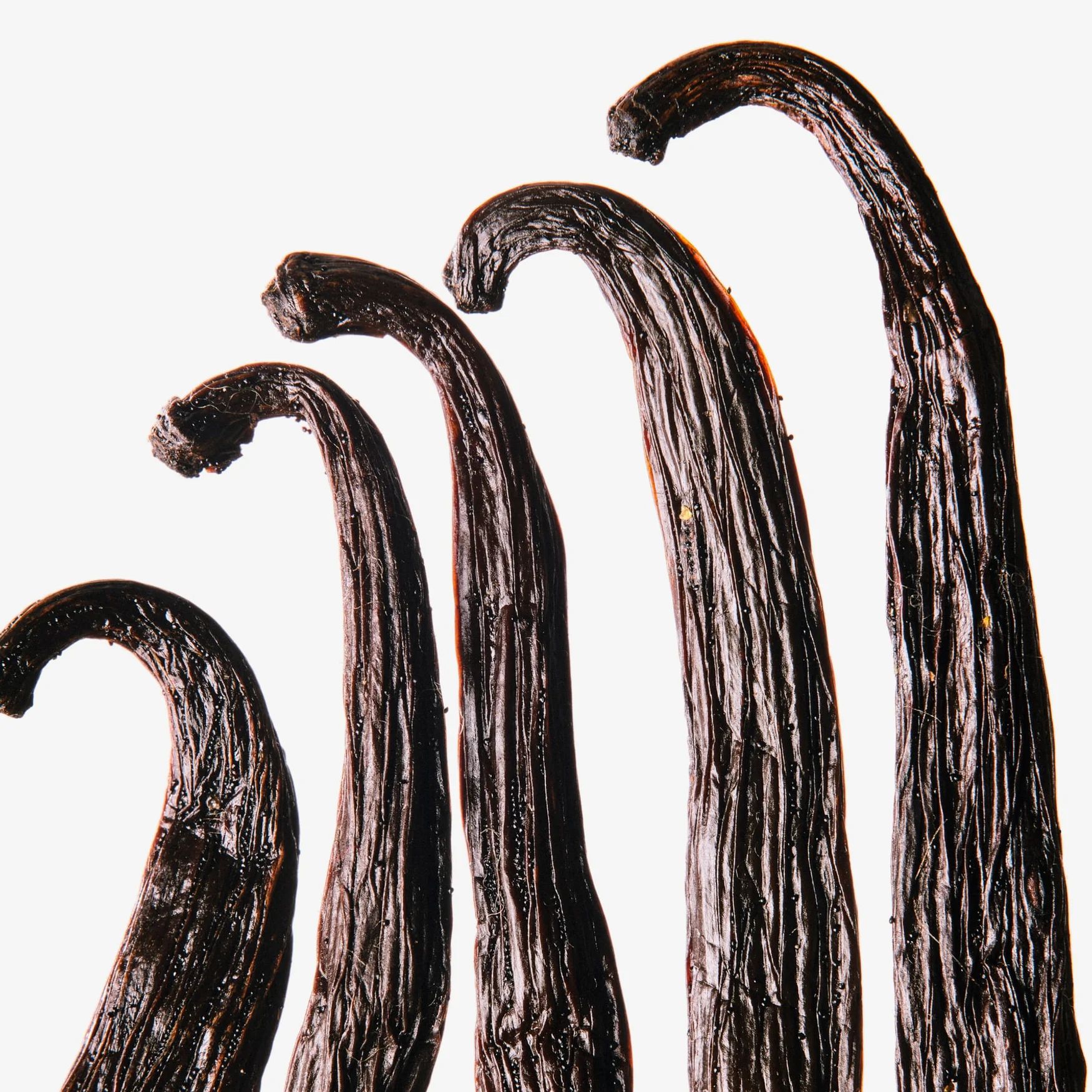 Vanilla (Tahiti)